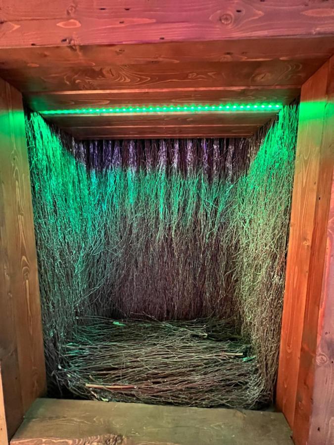 Willa Jankes Zakopane Exteriör bild